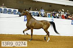 13r9_0274 proof