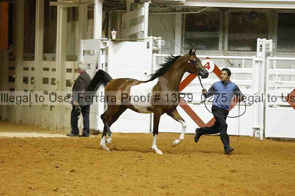 Proof 13r9_0275