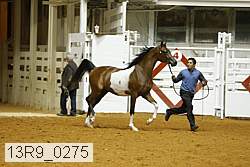 13r9_0275 proof