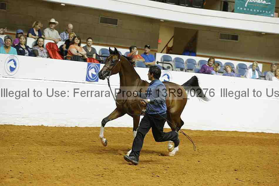 Proof 13r9_0276