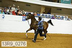 13r9_0276 proof