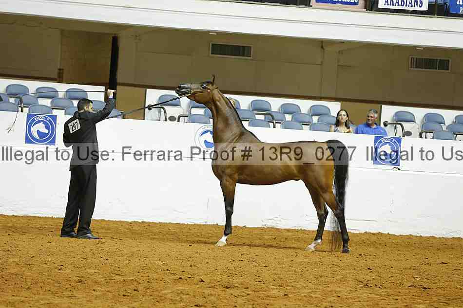 Proof 13r9_0277