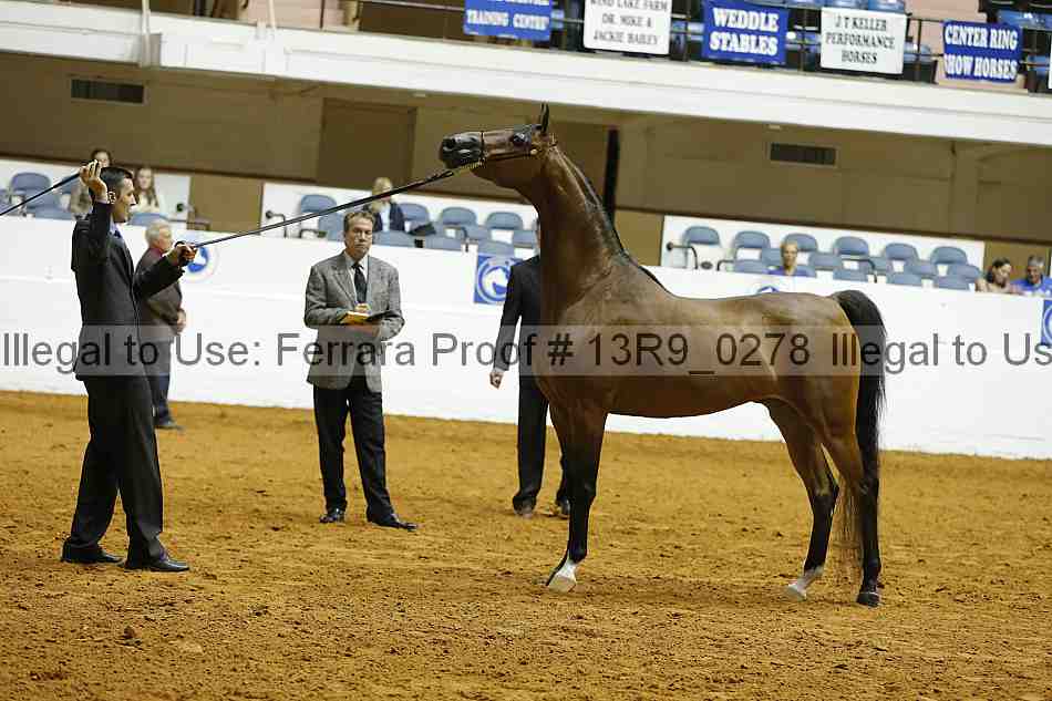 Proof 13r9_0278
