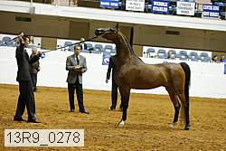 13r9_0278 proof