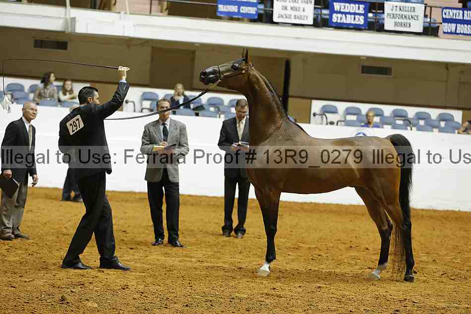 Proof 13r9_0279