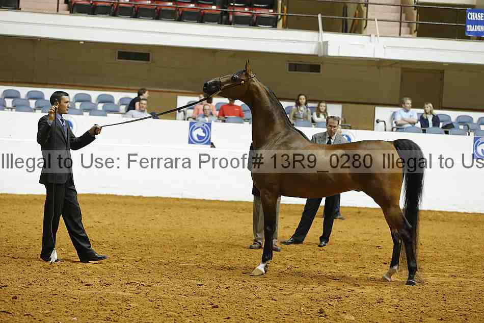 Proof 13r9_0280