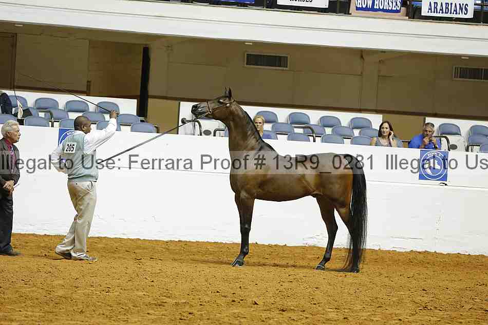 Proof 13r9_0281