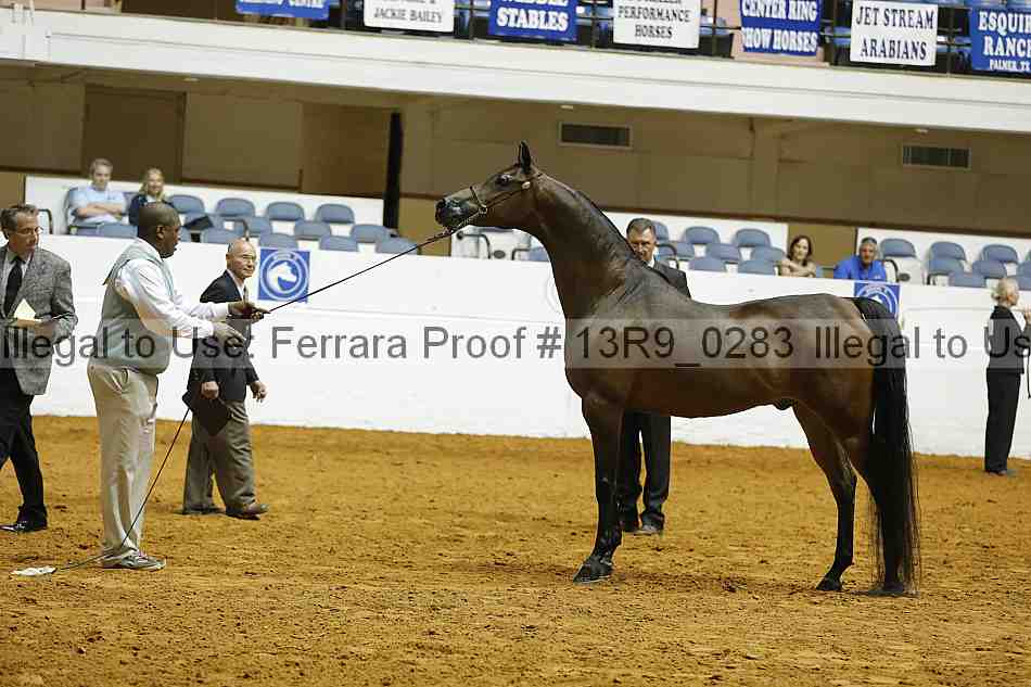 Proof 13r9_0283