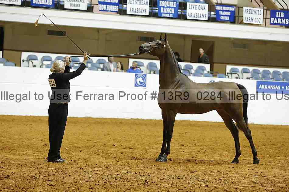 Proof 13r9_0284