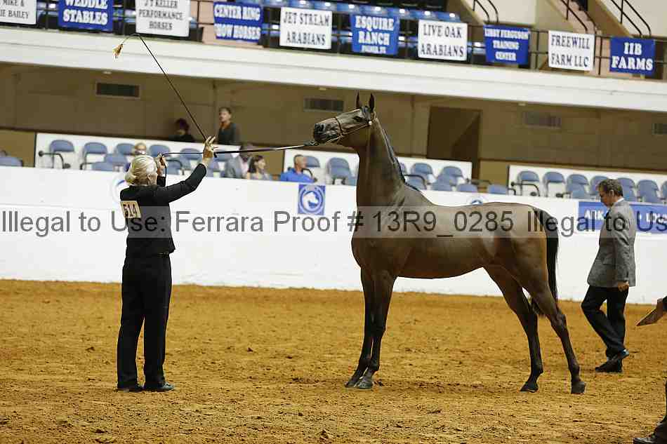 Proof 13r9_0285