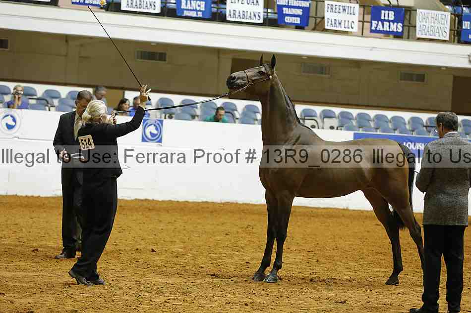 Proof 13r9_0286