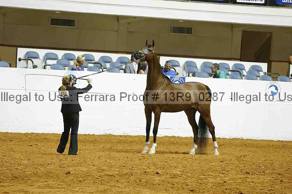 Proof 13r9_0287