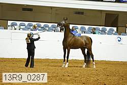 13r9_0287 proof