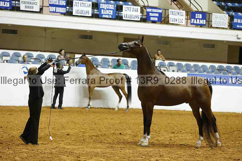 Proof 13r9_0288