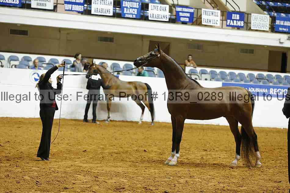 Proof 13r9_0289