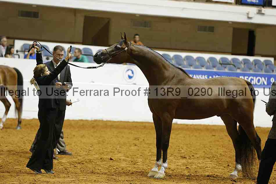 Proof 13r9_0290