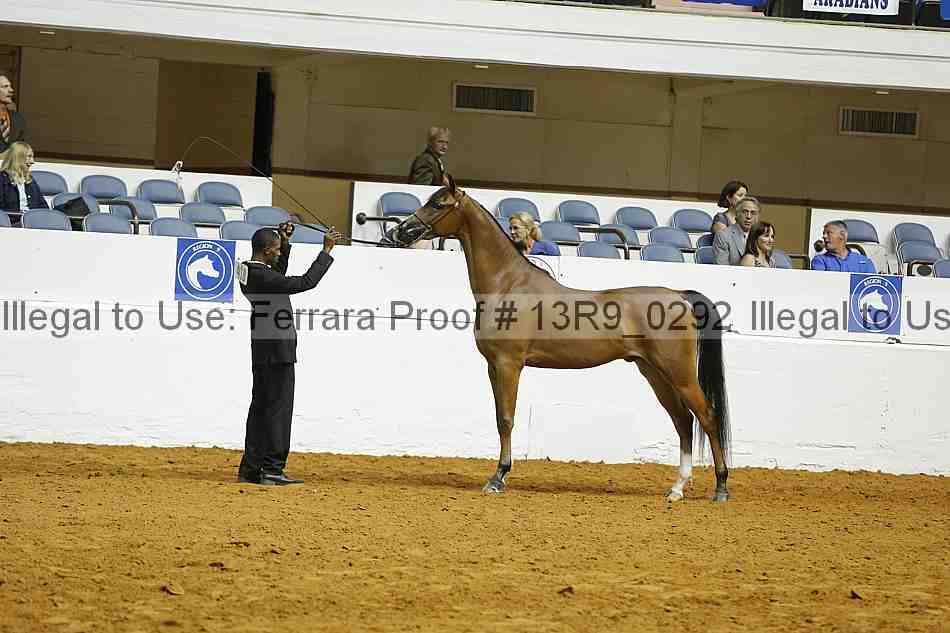 Proof 13r9_0292