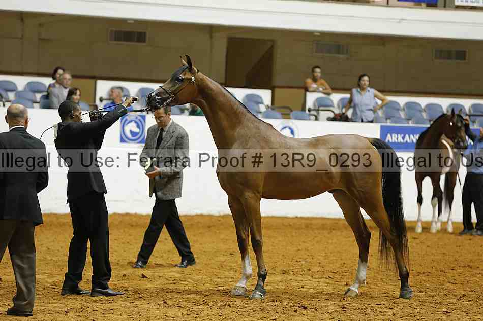 Proof 13r9_0293
