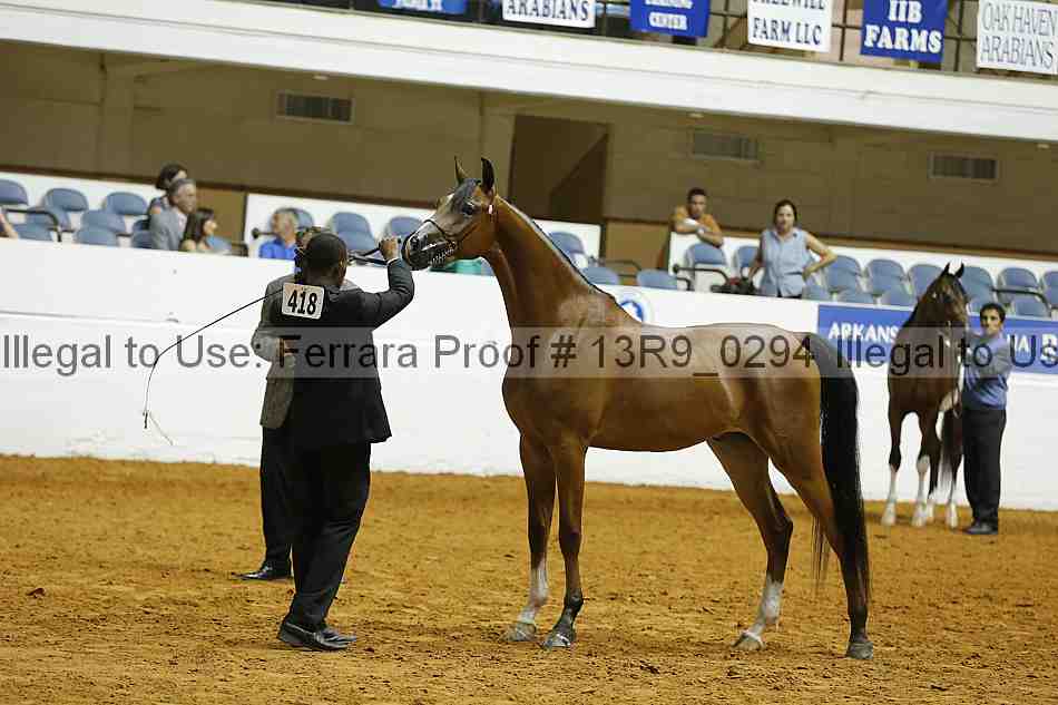 Proof 13r9_0294