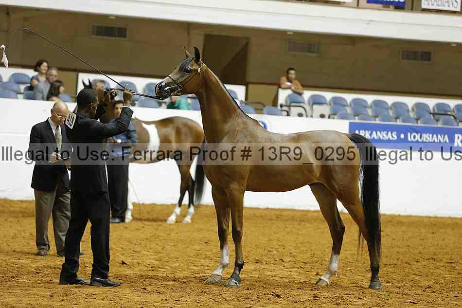Proof 13r9_0295