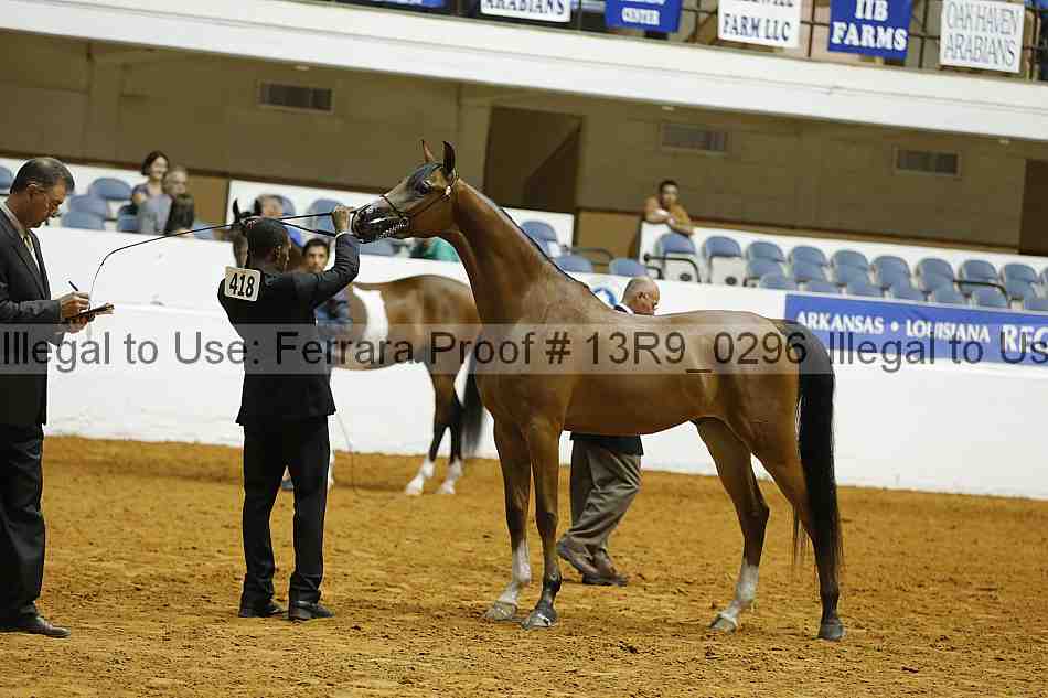 Proof 13r9_0296