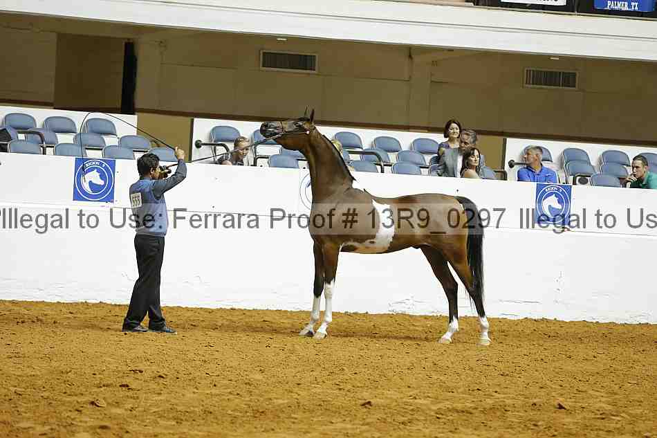 Proof 13r9_0297