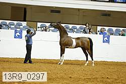 13r9_0297 proof