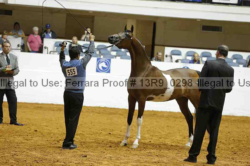 Proof 13r9_0298