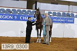 13r9_0300 proof