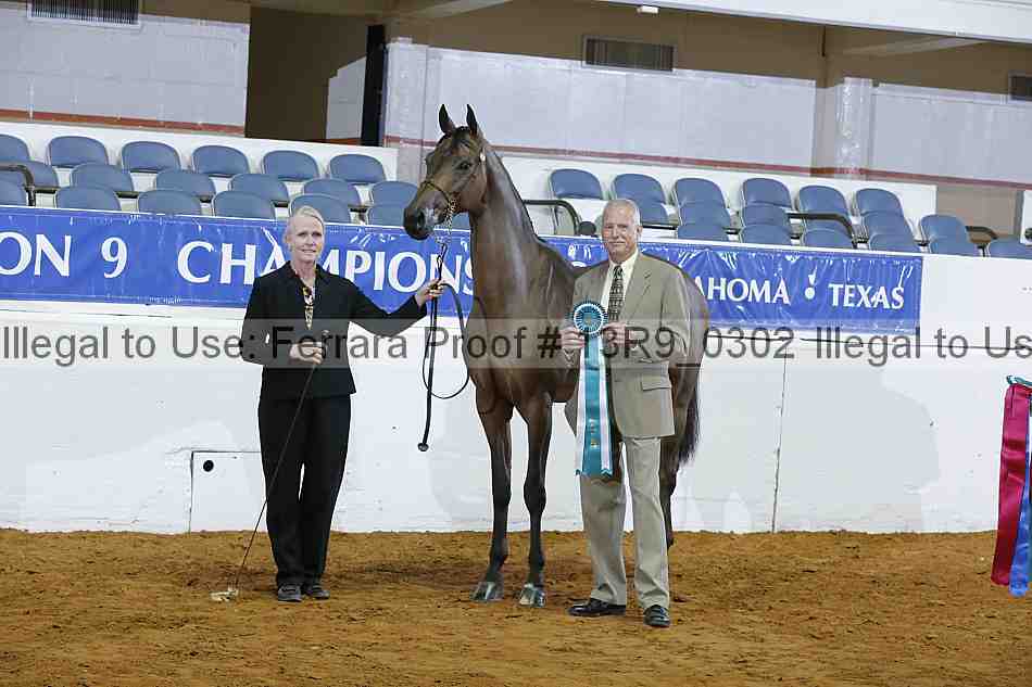 Proof 13r9_0302