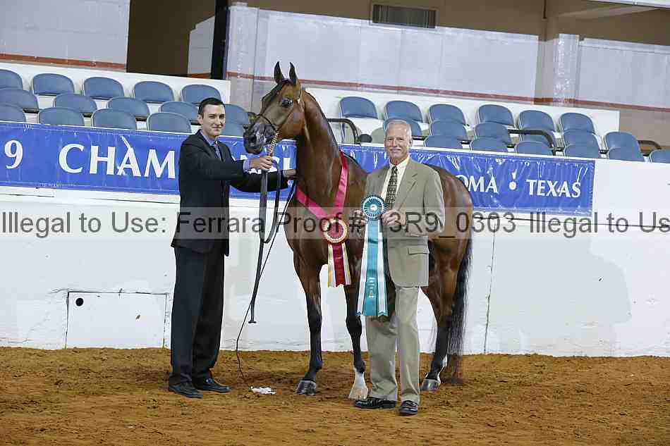Proof 13r9_0303