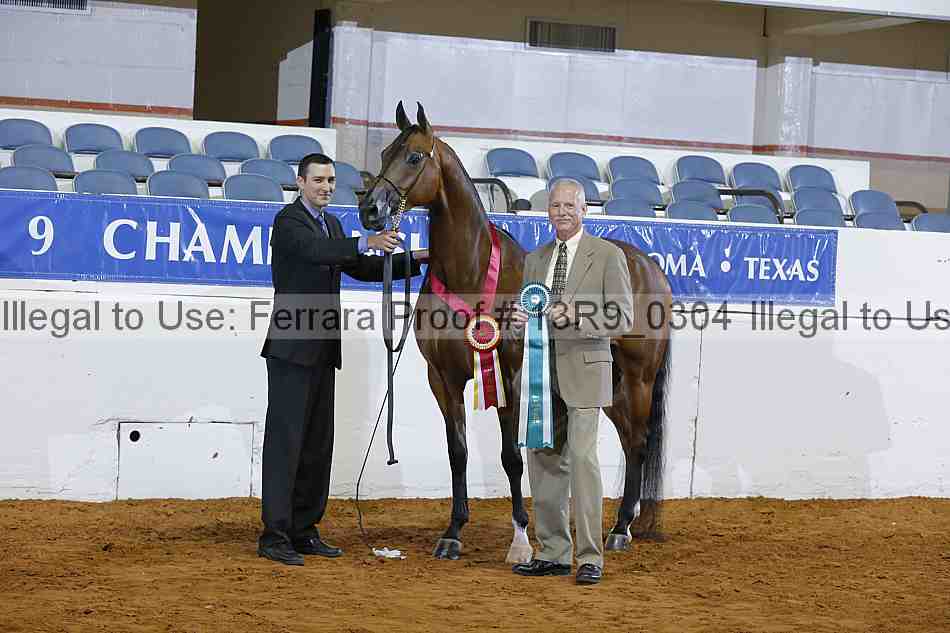 Proof 13r9_0304