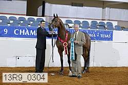 13r9_0304 proof