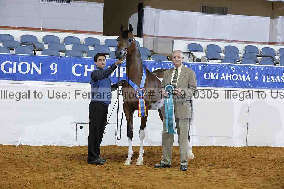 Proof 13r9_0305