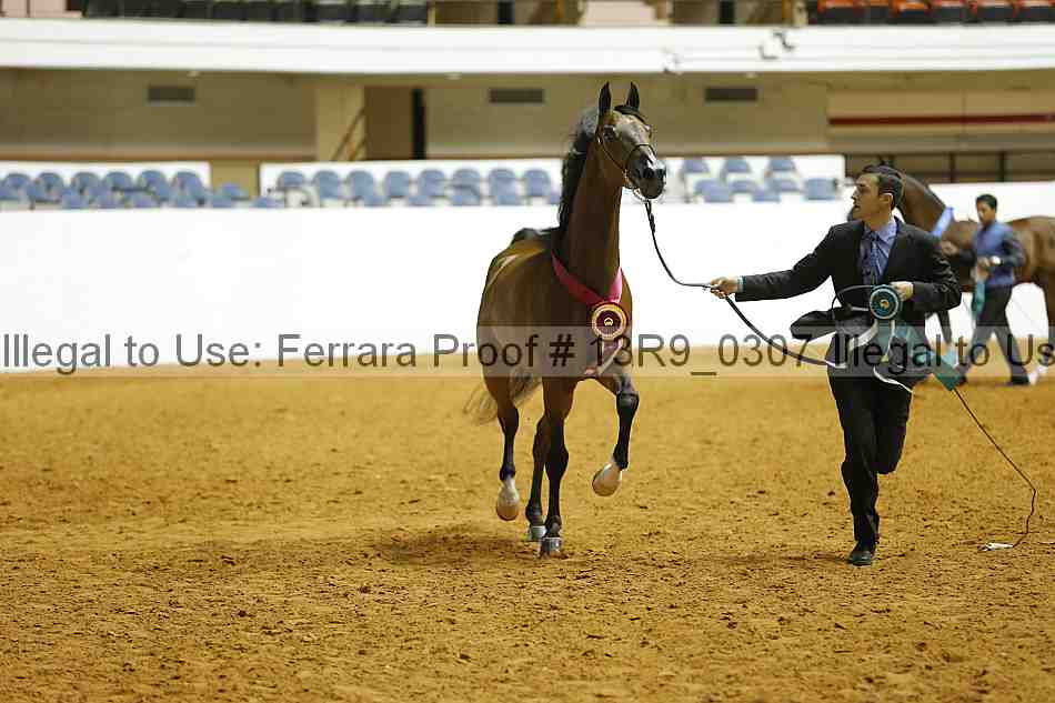 Proof 13r9_0307