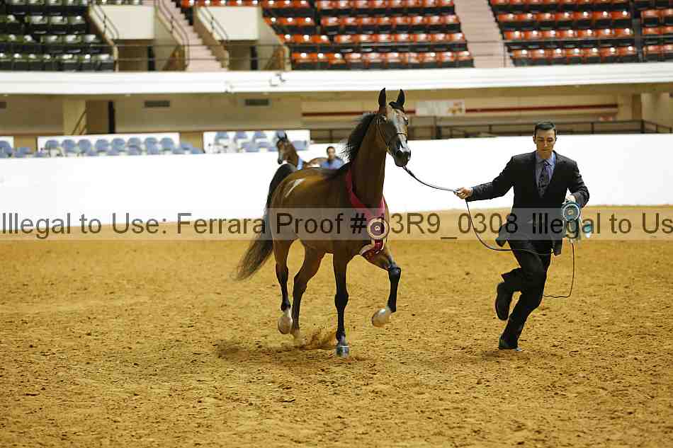 Proof 13r9_0308