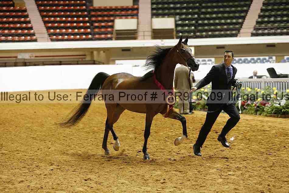 Proof 13r9_0309