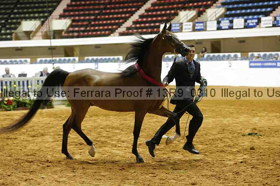 Proof 13r9_0310