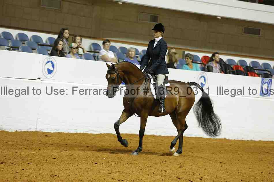 Proof 13r9_0311