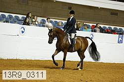 13r9_0311 proof