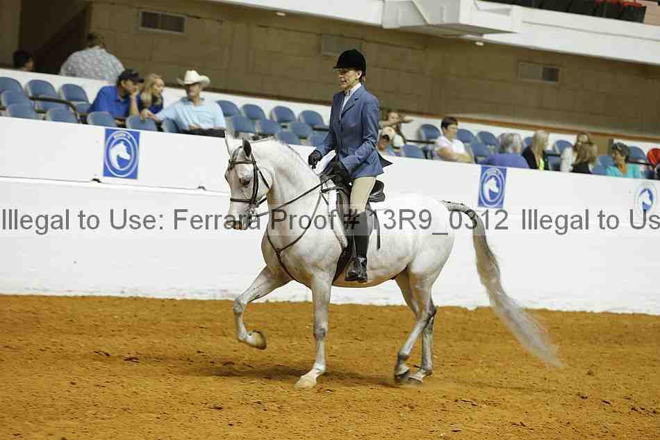 Proof 13r9_0312