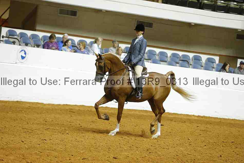 Proof 13r9_0313