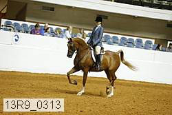 13r9_0313 proof