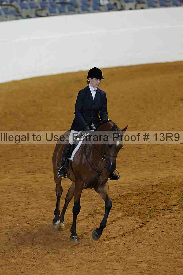 Proof 13r9_0315