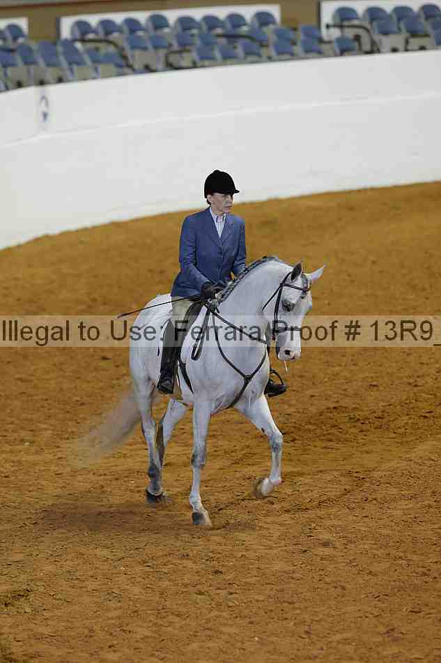 Proof 13r9_0317