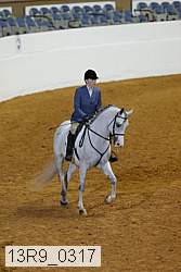 13r9_0317 proof