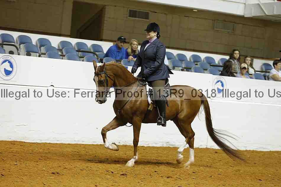 Proof 13r9_0318