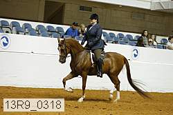 13r9_0318 proof