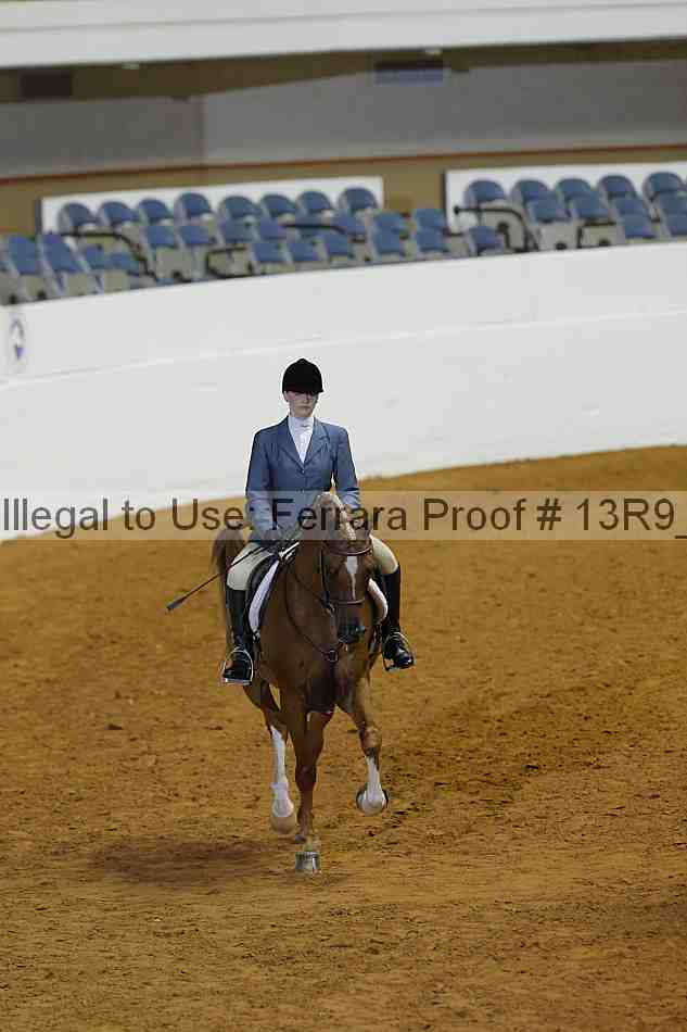 Proof 13r9_0319