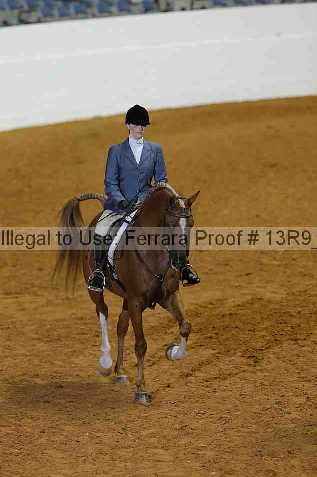 Proof 13r9_0321